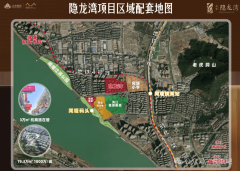 同条目审查：细心阅读购房合同的每一项条目