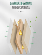 <b>荣获“中国板材国度品牌”“中国板材十大品牌</b>